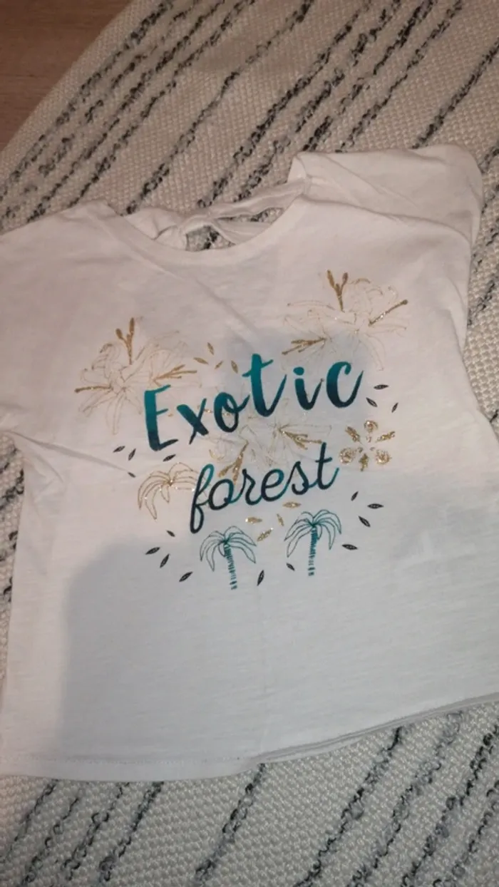 Tee shirt gemo