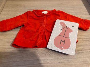 Lot 2 gilets ~ 1 mois