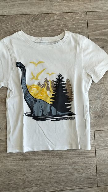 Tee shirt dinosaures