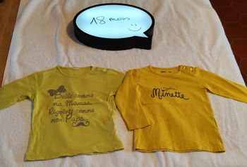 Lot 2 tee-shirt manches longues 18 mois