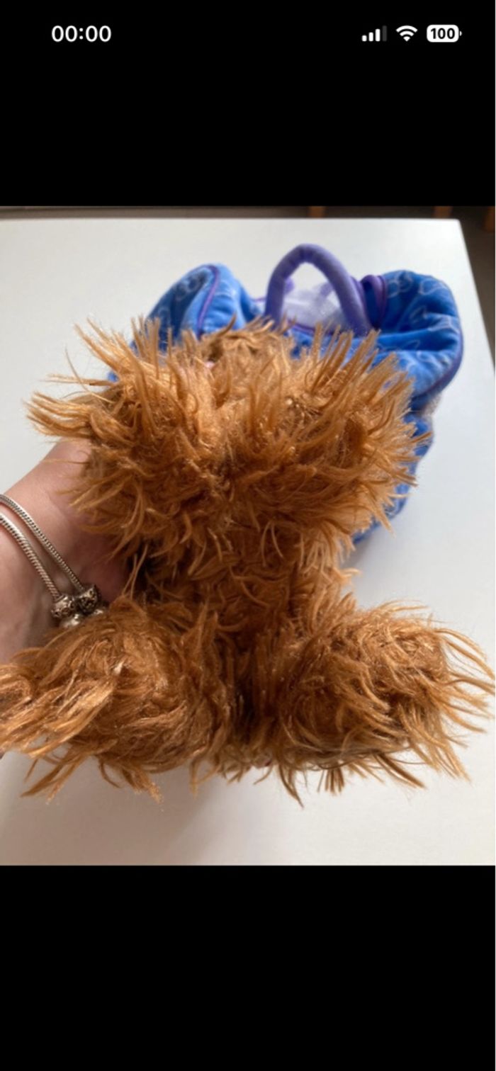 Petit chien modèle décoiffé et son panier/sac de transport - photo numéro 8