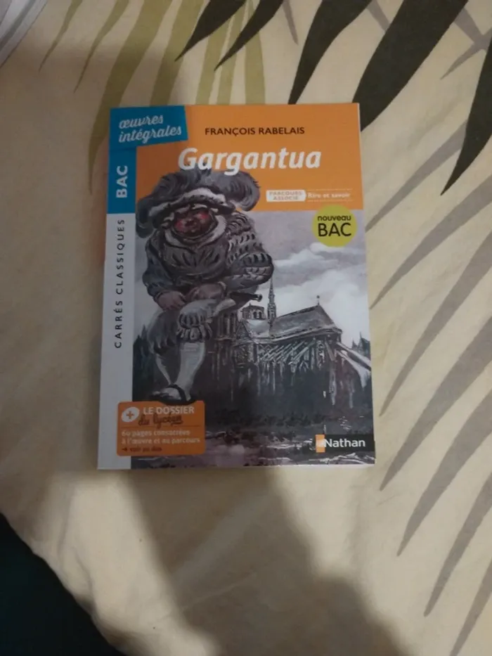 Livre gargantua