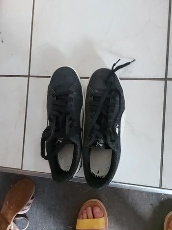 Basket puma