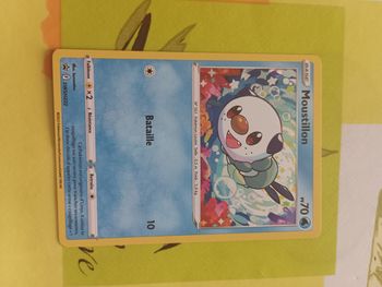 Carte moustillion holographique