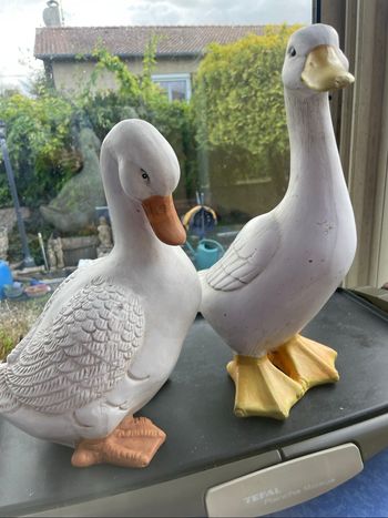 Deux canards  extérieur déco