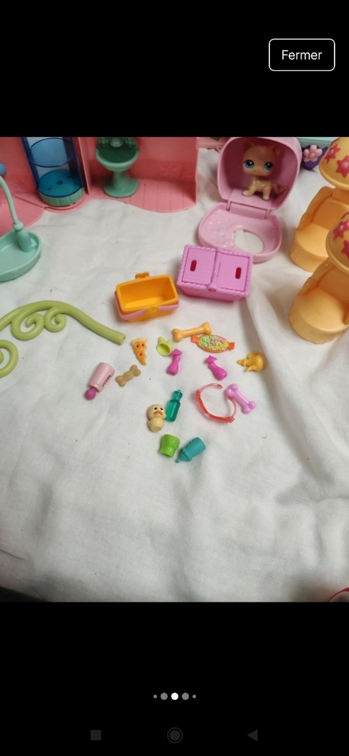 Pet shop - photo numéro 7