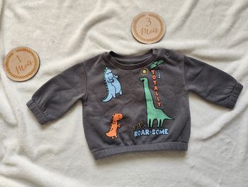 Sweat gris, notif dinosaures, 0-3 mois, Primark 