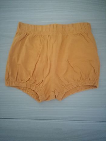 Short moutarde