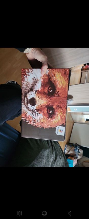 100 couleurs coloriage feutres Aquarelle pointe fine marque Mancola