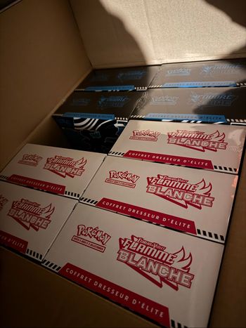 Pokémon ETB Flamme Blanche et Foudre Noire français neuf