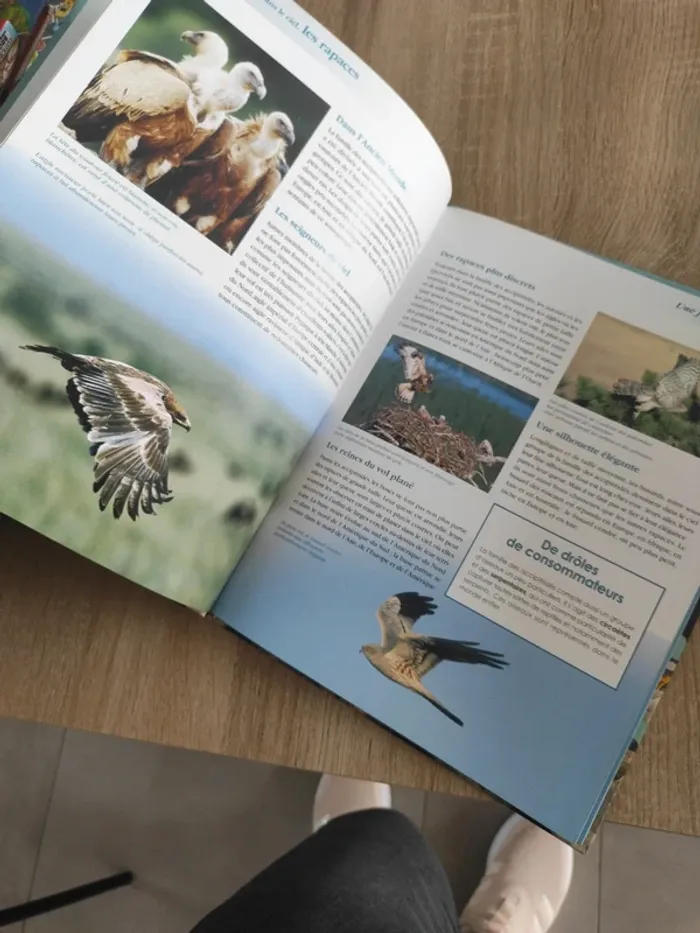 Livre édition atlas les rapaces - photo numéro 3