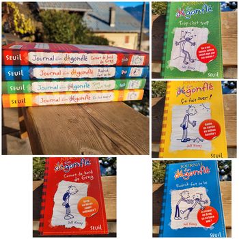 4 romans Journal d'un dégonflé : tomes 1, 2, 3 et 4