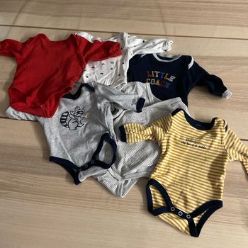 Lot 6 bodies
