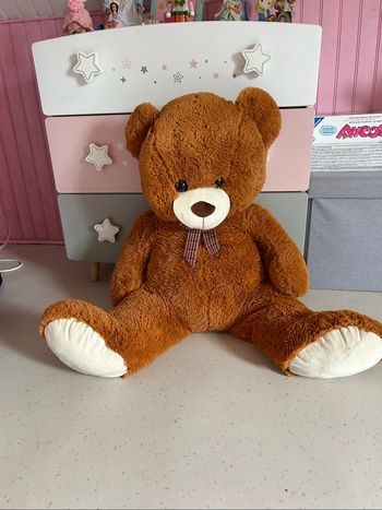 Ours peluche
