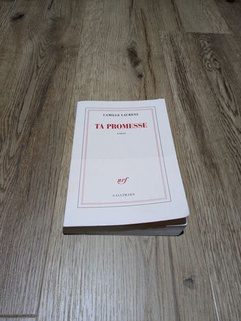 Livre Ta Promesse Camille Laurens