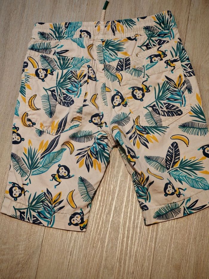 Short singe - photo numéro 3