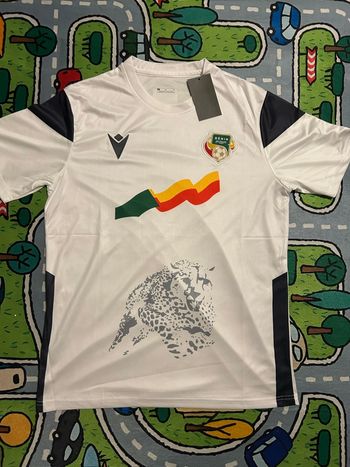 Maillot de Bénin 
