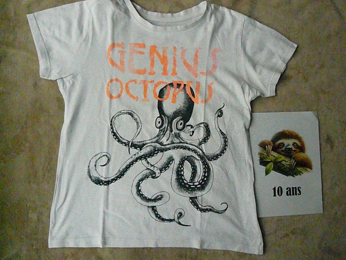 Lot de 2 tee-shirts garçon 10 ans (n°38) - photo numéro 3