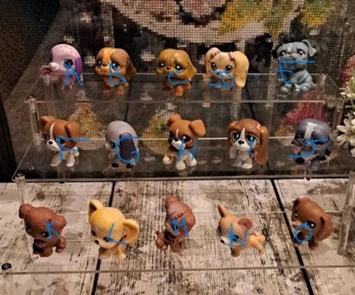 Petshop chien au choix vente à l unité - photo numéro 2