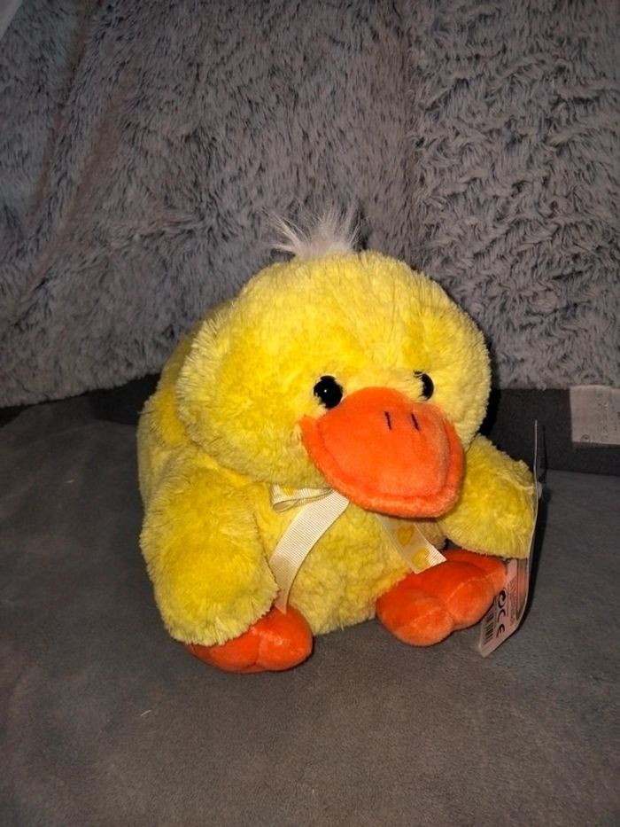 Panier canard - photo numéro 4