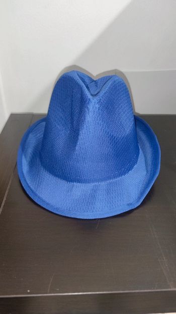 Chapeau borsalino bleu