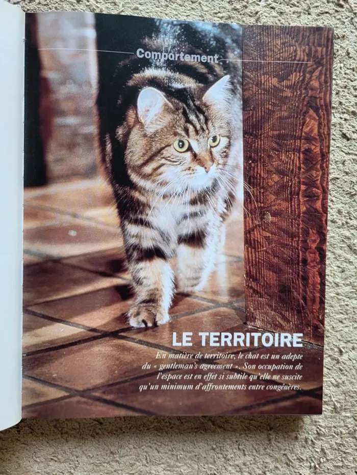 Livre "Les chats, comportement et caractères" - Éditions Atlas - photo numéro 6