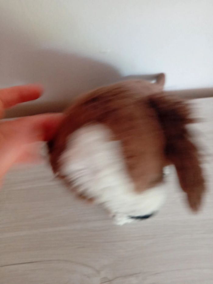 Peluche chien brun et blanc - photo numéro 5