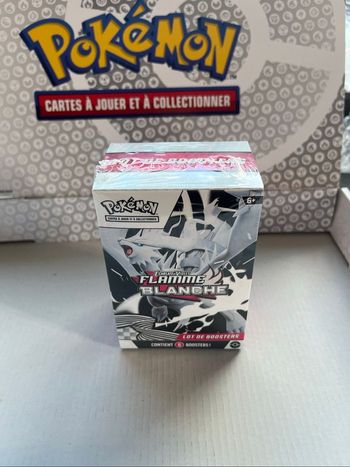 Bundle ev10.5 Pokémon