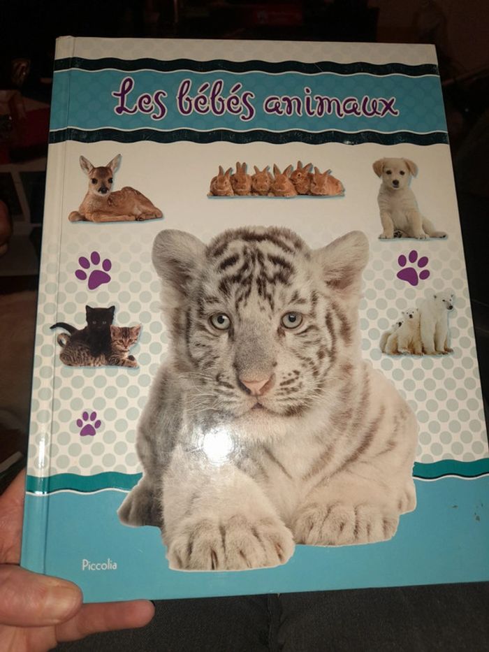 Les bébés animaux