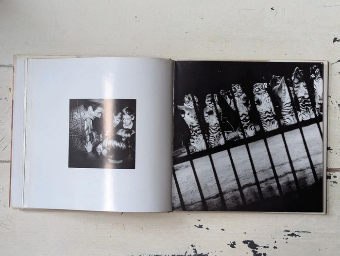 Quel Cirque ? - photo numéro 5