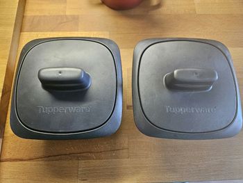 Lot de 2 petites terrines