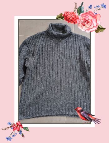 Pull homme Passadena en L