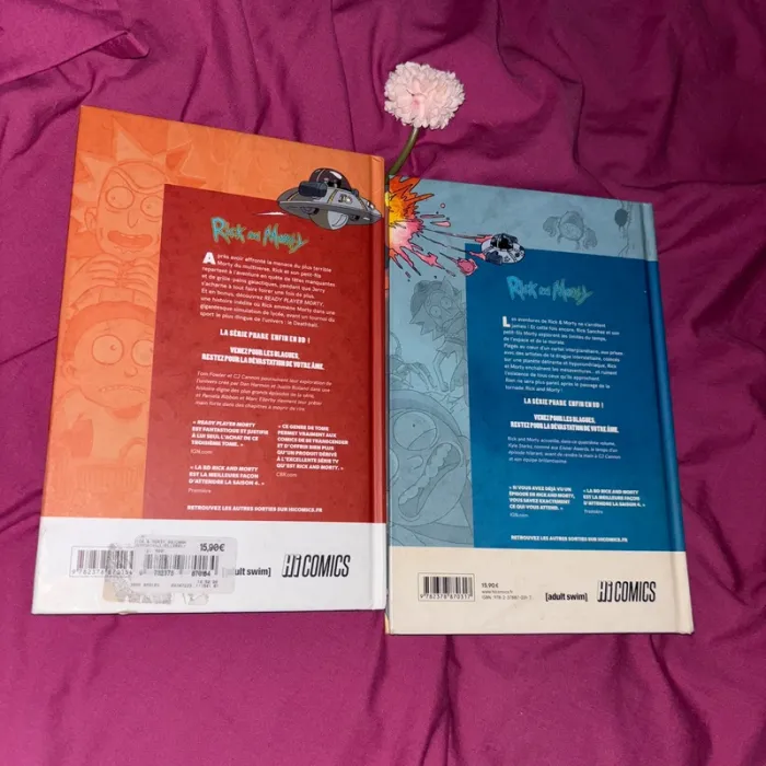 Lot bd Rick and Morty - photo numéro 2