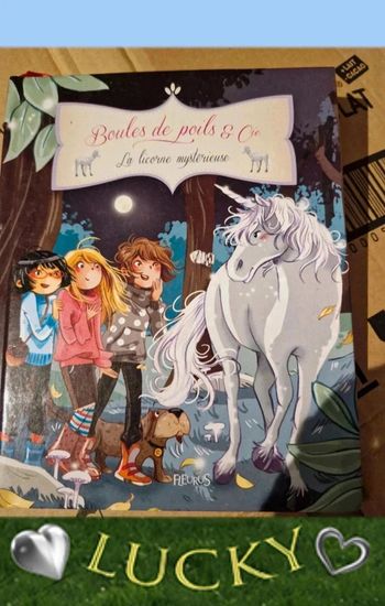 Boucles de poids et compagnie le licorne mystérieuse