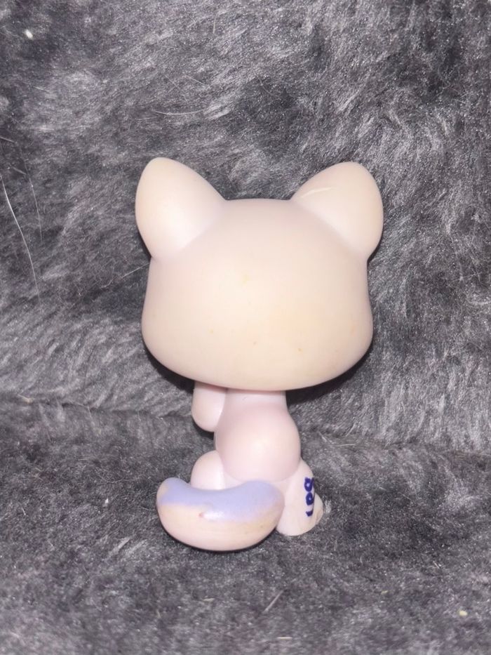 cat #1931 - photo numéro 2