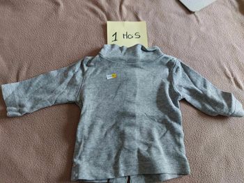 tee shirt gris
