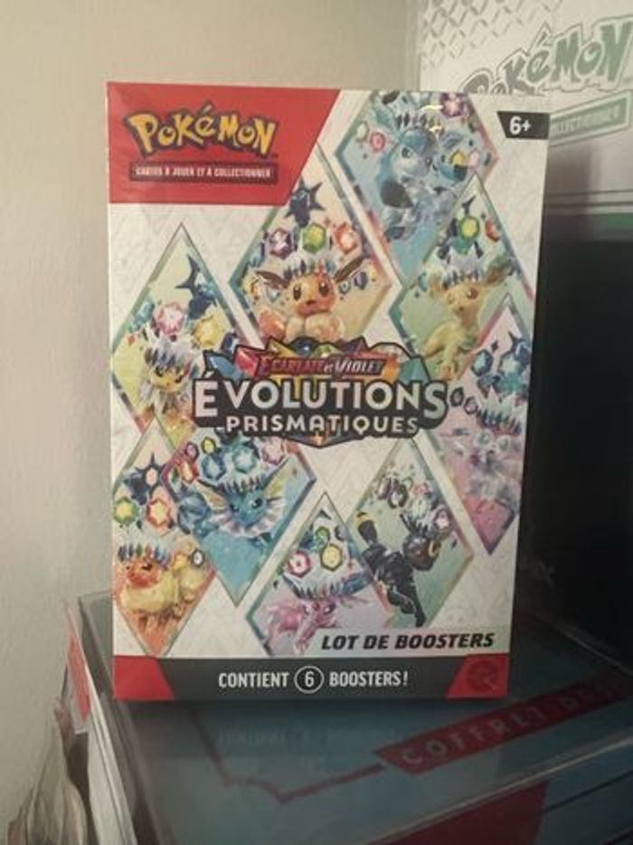Bundle. Evolution prismatique
