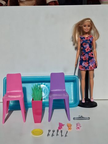 Poupée mattel Barbie Fully Furnished House (Année du moule corp 2015 tête 2013)