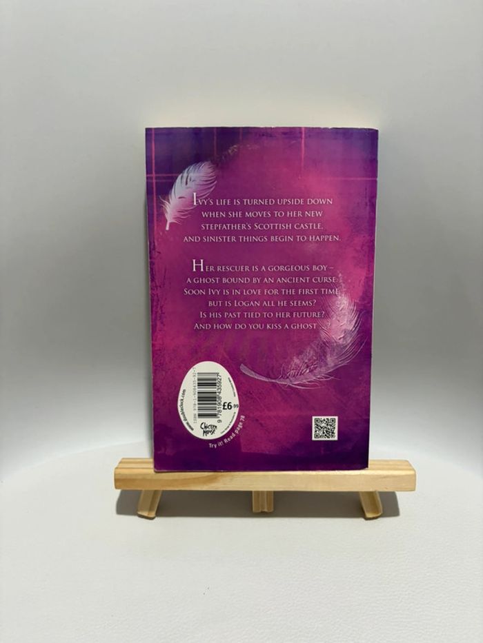 Book Forever More - photo numéro 2
