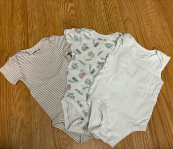 Lot de 3 bodys manches courtes