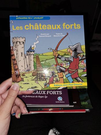 Les chateaux forts