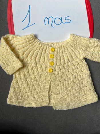 Gilet en laine de naissance fait mains
