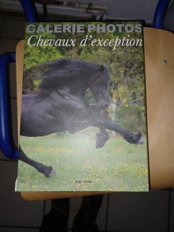Photos  de chevaux