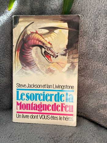 Livre dont vous êtes le héros le sorcier de la montagne de feu vintage 