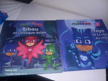 Lots de 2 livres 📚