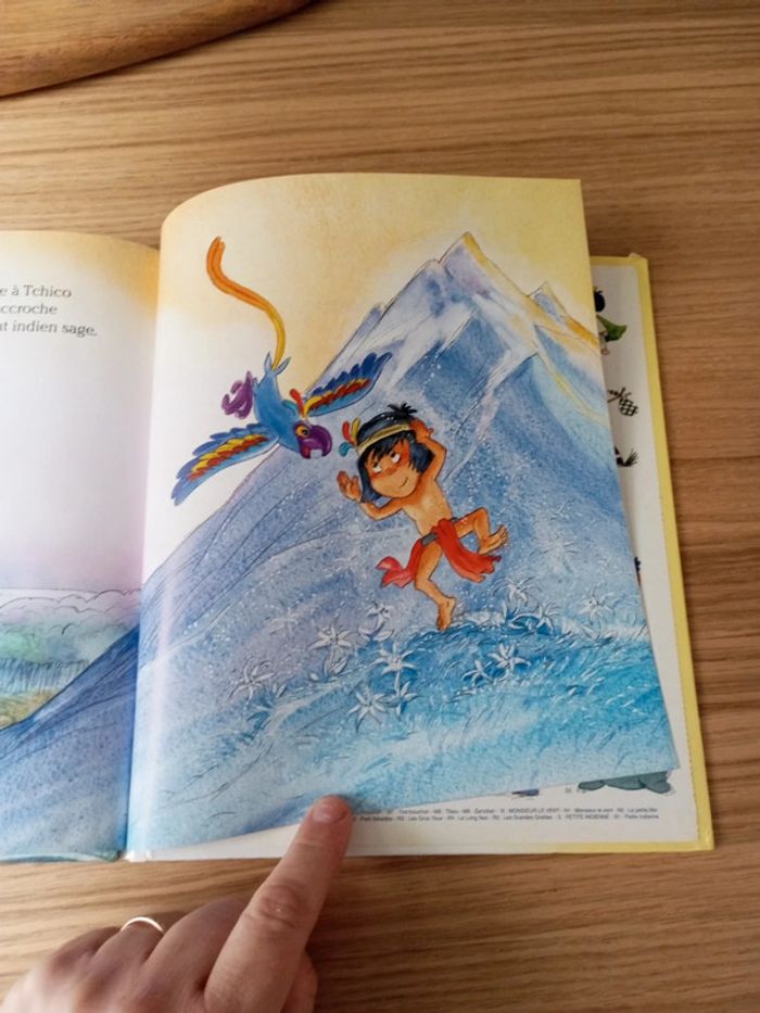 Livre Tchicco de 3 chardons - photo numéro 4