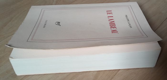 Philippe Lançon - le Lambeau - photo numéro 3