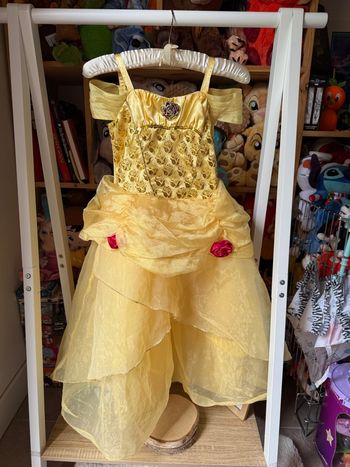Robe déguisement princesse Disney Disneyland belle et la bête