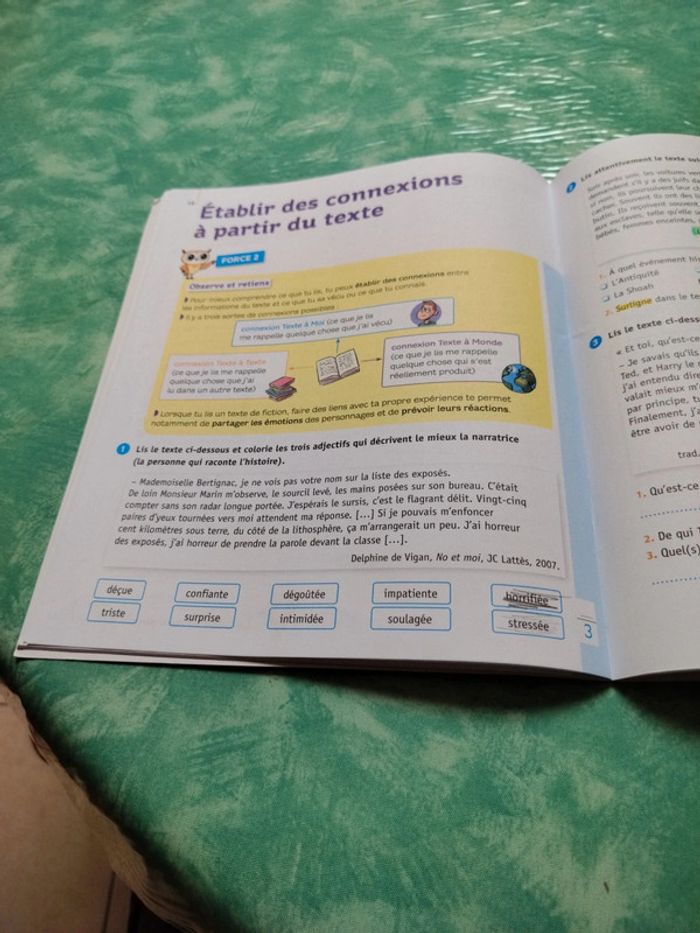 Mini chouette - photo numéro 9