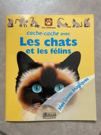 Livre cache cache avec les chats